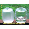 tbs-302器皿玻璃蒙砂粉