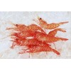 水產(chǎn)品魚蝦肉保鮮,冰衣保鮮劑防腐性,增強(qiáng)冰衣彈性