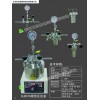 100ml微型平行高壓反應釜，微型磁力高壓反應釜