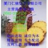 菠蘿蛋白酶，福建菠蘿蛋白酶生產商，廈門哪里有菠蘿蛋白酶