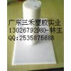 進(jìn)口PET棒