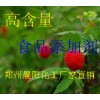蛋白酶，蛋白酶應(yīng)用范圍