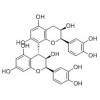供應(yīng)原花青素B2  29106-49-8