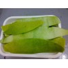 廠家現(xiàn)貨生產(chǎn)供應98%柚皮苷 naringin柚皮甙