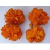 優(yōu)惠供應(yīng)萬壽菊提取物 葉黃素lutein
