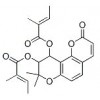 供應(yīng)白花前胡乙素  81740-07-0