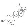 供應(yīng)23-羥基白樺酸   85999-40-2