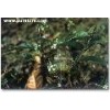 現(xiàn)貨供應(yīng)大麥芽/浮小麥/杜仲/淡豆鼓提取物
