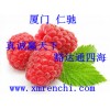 酪蛋白酸鈉最新報(bào)價(jià) 酪蛋白酸鈉國家免檢 酪蛋白酸鈉價(jià)格