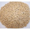 專業(yè)廠家生產(chǎn)供應(yīng)麥芽提取物5:1 10:1 20:1比例