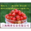 三氯蔗糖國內執行標準