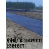 供應(yīng)藕池防滲膜價(jià)格、藕池防滲膜廠家