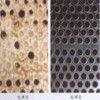 鍋爐清洗、暖氣管網(wǎng)清洗、換熱器清洗、油罐清洗、熱水管網(wǎng)清洗