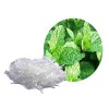 96%醫(yī)藥化妝品級(jí)天然冰片 左旋龍腦 廠家直銷